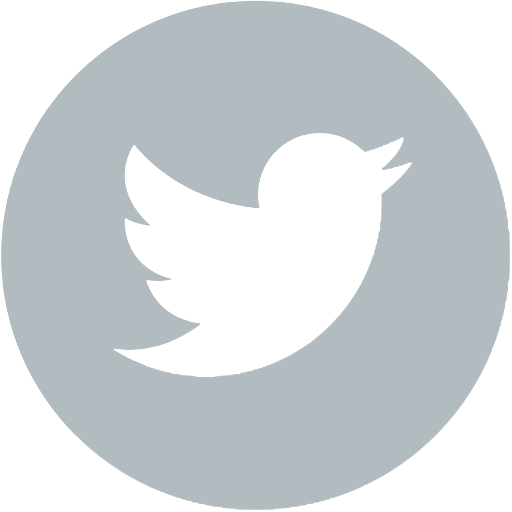 twitter icon